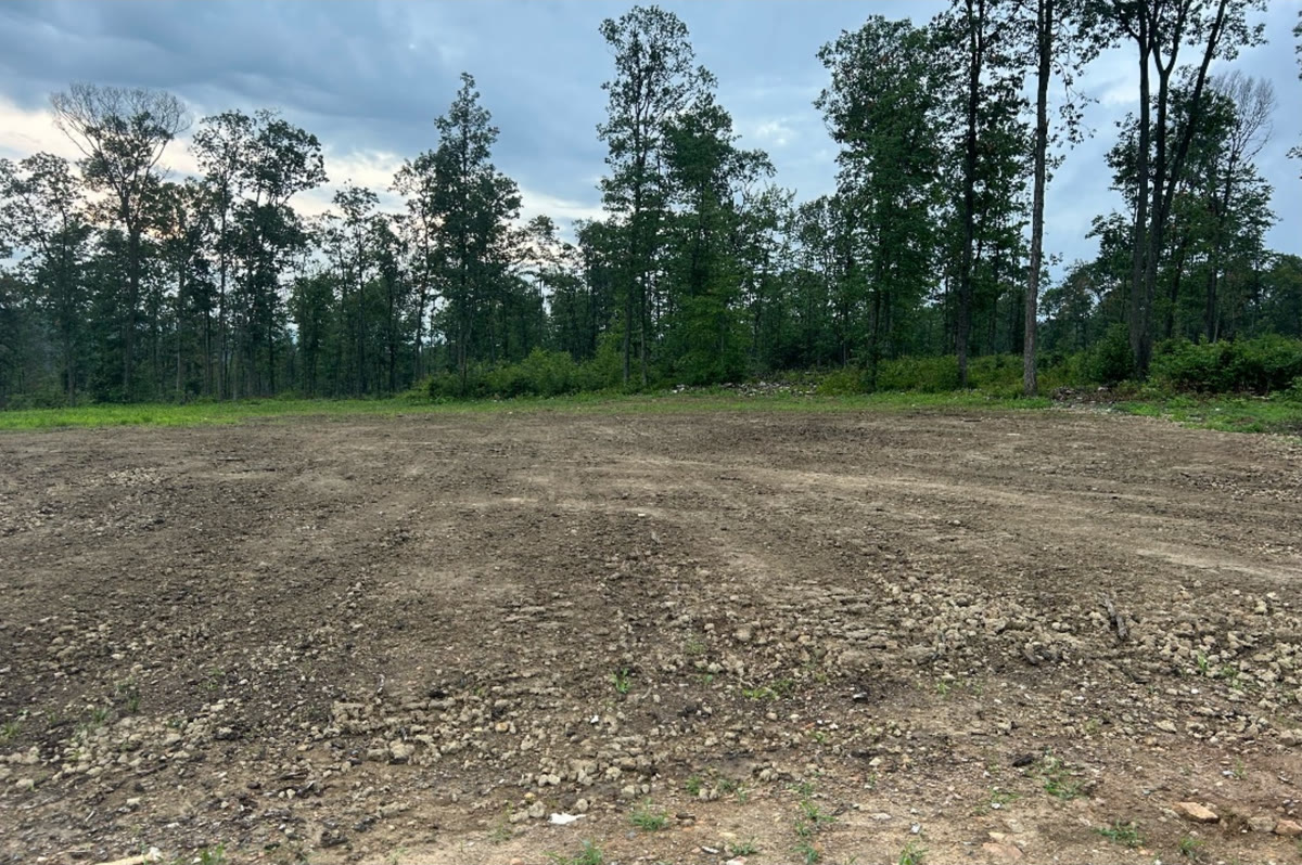 A lawn before treatment