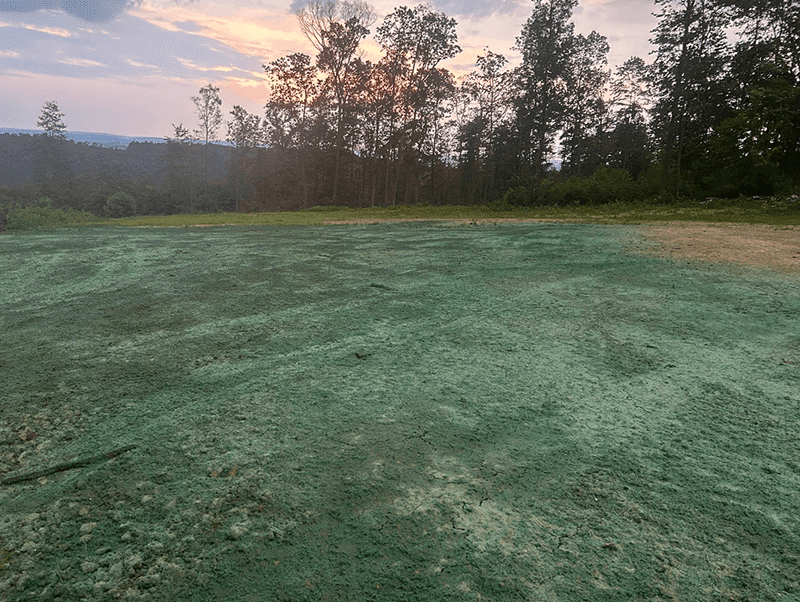 A lawn after a professional liquid fertilizer treatment