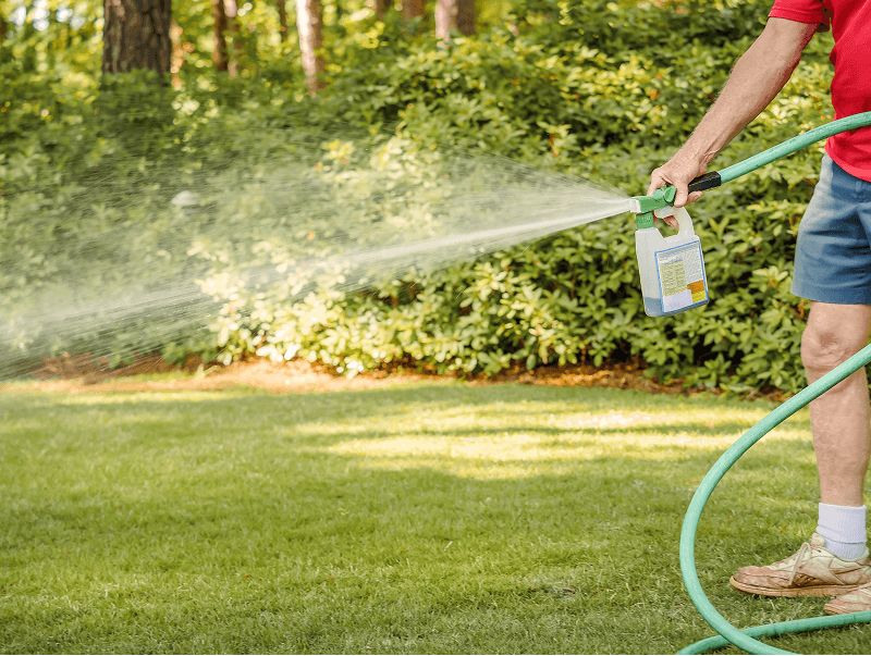 A lawn after a professional liquid fertilizer treatment