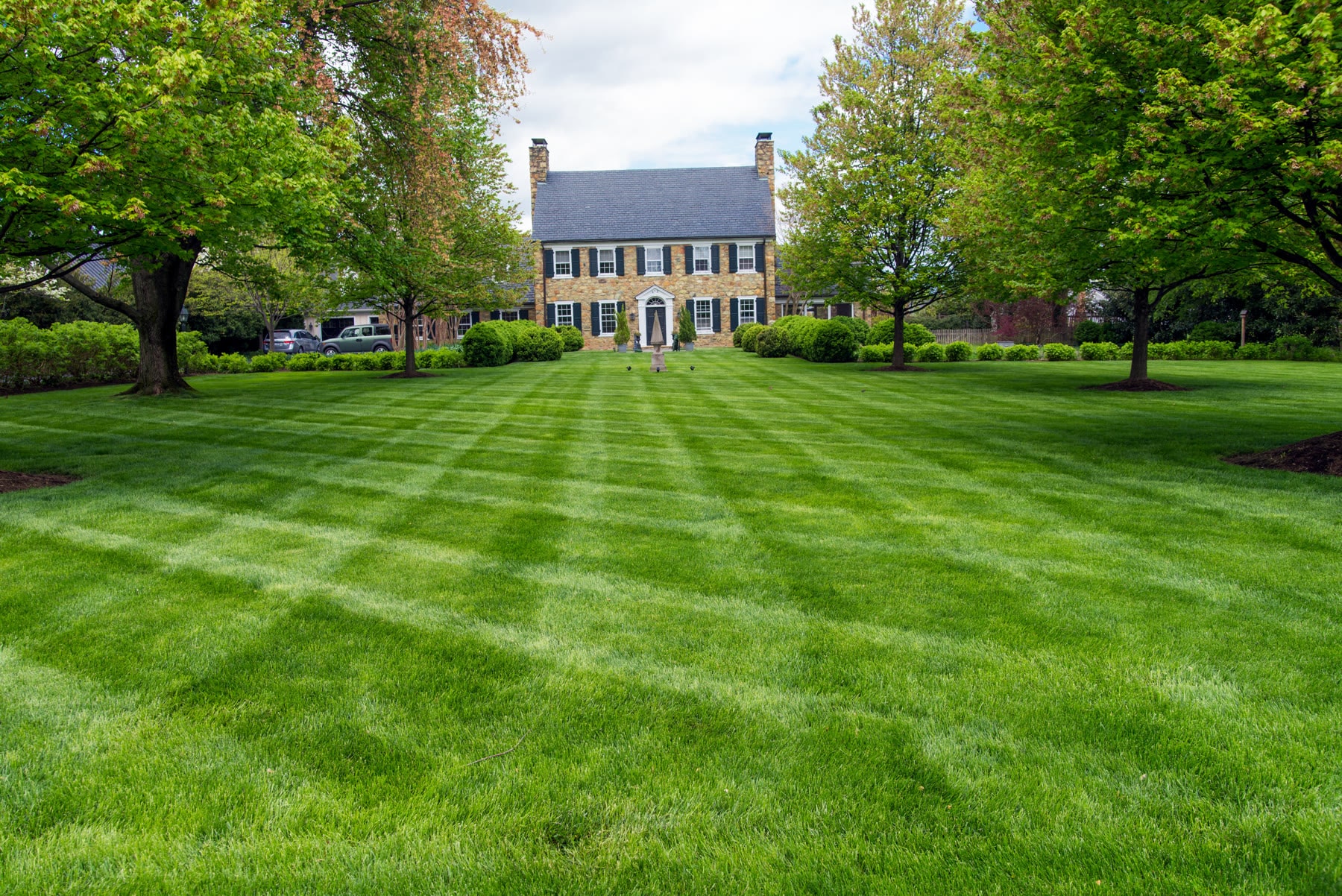 A thick, freshly mowed green lawn